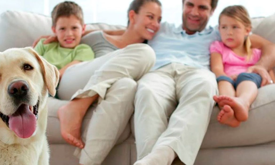 Animais em condomínios: é proibido proibir!